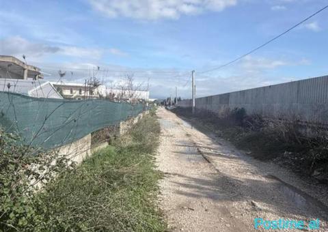 SHITET TOKE XHAVZOTAJ DURRES - 2/3