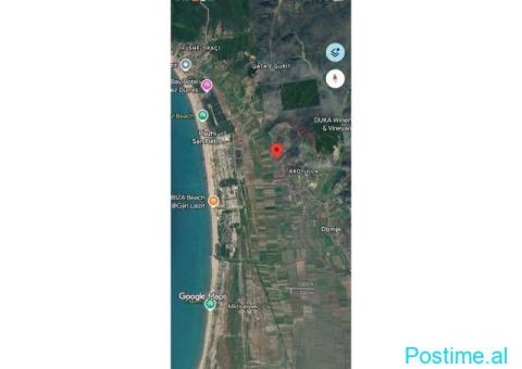 SHITET TOKË PREMIUM NË GJIRIN E LALËZIT | 8,058 m²