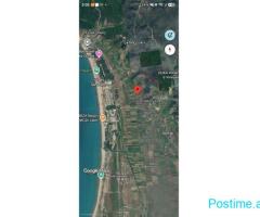 SHITET TOKË PREMIUM NË GJIRIN E LALËZIT | 8,058 m²