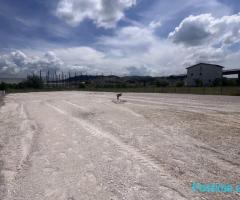 TOKE ME QERA 2000 M2 VORE 2.000 EURO