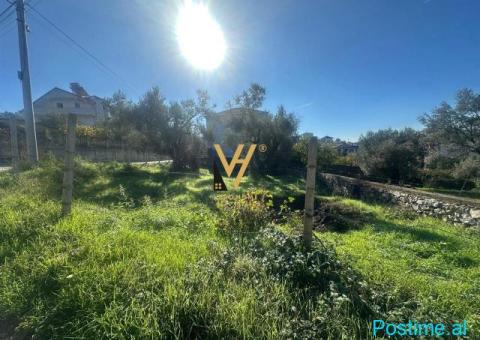 SHITET TOKE 700 M2 NE BABRRU 150.000 EURO - 3/3