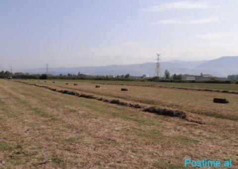 Në shitje: Tokë në Fushë Prezë (Ahmetaq) - 1/4