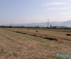 Në shitje: Tokë në Fushë Prezë (Ahmetaq)