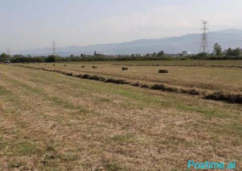 Në shitje: Tokë në Fushë Prezë (Ahmetaq) - 2/4