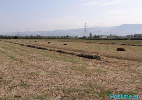 Në shitje: Tokë në Fushë Prezë (Ahmetaq) - 3/4