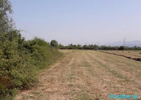 Në shitje: Tokë në Fushë Prezë (Ahmetaq) - 4/4