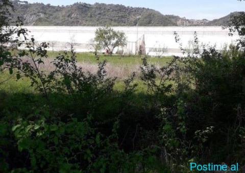 NJOFTIM PËR SHITJE PRONE BUJQËSORE - SERE - 8/9