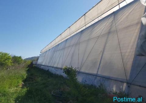 NJOFTIM PËR SHITJE PRONE BUJQËSORE - SERE - 9/9