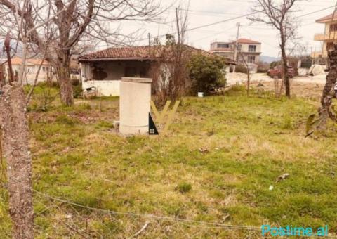 SHITET TOKE 300M2 NE KASHAR 1, RRUGA AZEM GALICA 100.000 EUR - 1/4