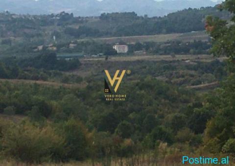 SHITET TOKE 5.500 M2 NE GURRE TE VOGEL PRANE EQUOS RESORT 27