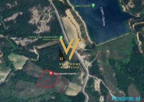 SHITET TOKE 5.500 M2 NE GURRE TE VOGEL PRANE EQUOS RESORT 27 - 2/2