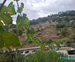 SHITET TRUALL GJIROKASTER ZONA MUZEALE
