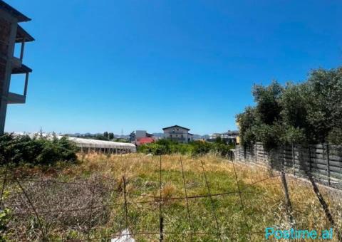 SHITET TOKE NE SHENAVLASH, DURRES - 2/3