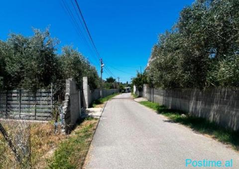 SHITET TOKE NE SHENAVLASH, DURRES - 3/3