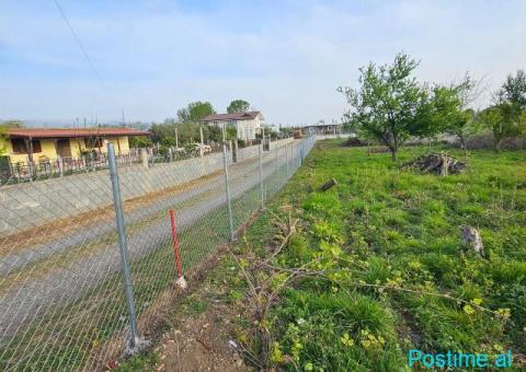 Okazione shitet toke 8000m2 Tale Lezhe - 1/6