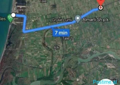 Okazione shitet toke 8000m2 Tale Lezhe - 2/6