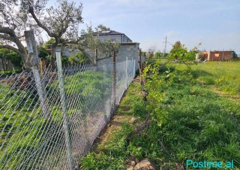 Okazione shitet toke 8000m2 Tale Lezhe - 5/6