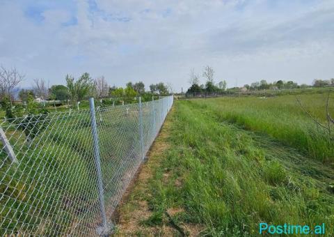 Okazione shitet toke 8000m2 Tale Lezhe - 6/6