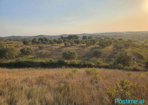 Okazion shitet prona 2550m2 Adresa Maminas - 2/4