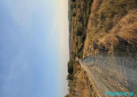 Okazion shitet prona 2550m2 Adresa Maminas - 4/4