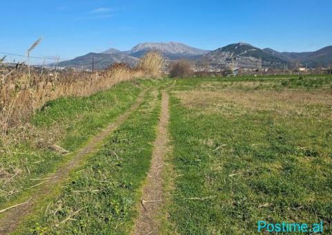 Okazion shitet prona 12 500m2 Adresa Ishull shengjin - 5/7