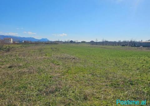 Okazion shitet prona 12 500m2 Adresa Ishull shengjin - 6/7