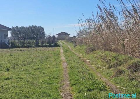 Okazion shitet prona 12 500m2 Adresa Ishull shengjin - 7/7