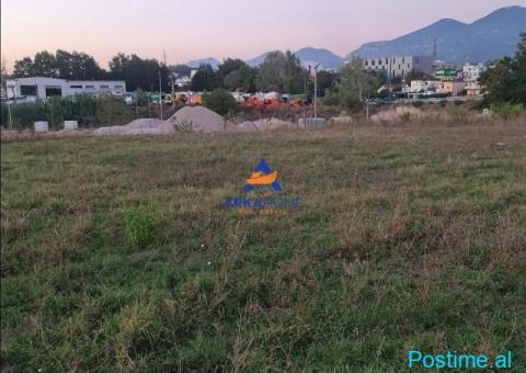 JEPET TOKE ME QERA 1600M2 'TEG' 1000 EURO - 6/7