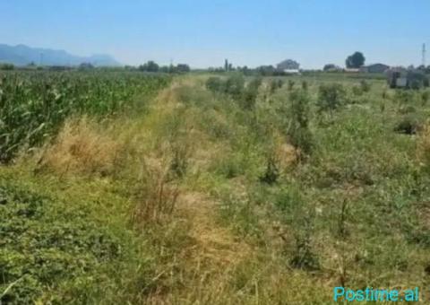 Okazion shitet prona 2075m2 Me hipotek Adresa Markatomaj - 4/5