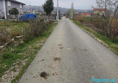 Okazion shitet 400m2 Truall +512m2 Toke Adresa Kune - 4/6