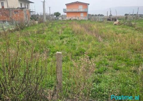Okazion shitet 400m2 Truall +512m2 Toke Adresa Kune - 5/6