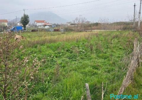 Okazion shitet 400m2 Truall +512m2 Toke Adresa Kune - 6/6
