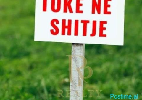 🌳 SHITET TOKË | PRUSH, TIRANË 📍 Vendndodhja: Prush 📐 Sip