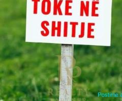 🌳 SHITET TOKË | PRUSH, TIRANË 📍 Vendndodhja: Prush 📐 Sip