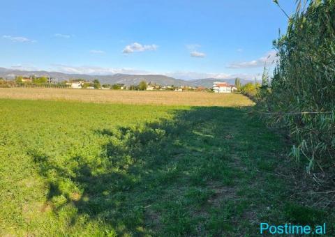 Okazion shitet prona 16000m2 Me çertefikat pronesie - 2/8