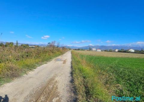 Okazion shitet prona 16000m2 Me çertefikat pronesie - 5/8