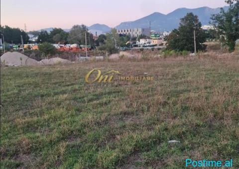 PRANE TEG JEPET TOKE 1600M2 PER QERA - 5/5