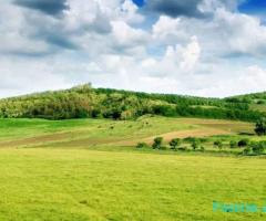 SHITET TRUALL 800 M2 RINAS 120.000 EURO