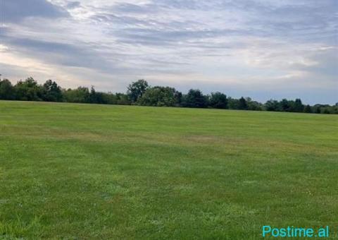 SHITET TRUALL 3600 M2 PEZE E VOGEL 198.000 EURO