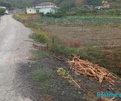 (C) 🟢 SHITET TRUALL NË AUTOSTRADËN TIRANË–ELBASAN