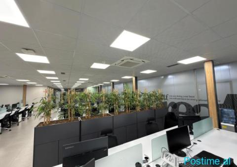 RING CENTER, JAPIM ME QIRA 770 M2/TERRA146877 - 3/7