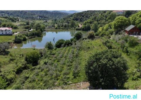 BUZE LIQENI I LANABREGAS, SHESIM TOKE 6135 M2/TERRA134459 - 2/2