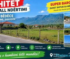 Berdice