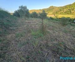 TOKE + NDERTESE PER SHITJE NË PLEPA SHKALLNUR DURRES