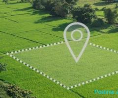 Shitet Toke ne Maminas , Vore Lokacion Perfekt!