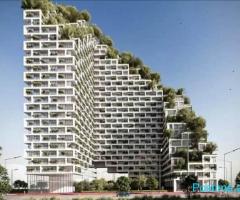 Lion 2 - Pamje nga Rruga Dritan Hoxha, Shitet 2+1+2