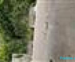 Shtepi private ne pazarin e vjeter ne Gjirokaster