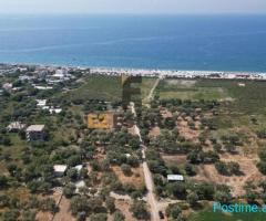 TOKE NE SHITJE VIJE E DYTE BORSH - 3200m2