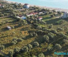 Shitet toke ne Borsh 1250m2-170euro/m2