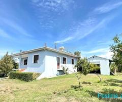 SHITET SHTEPI + TRUALL 1500m2 !